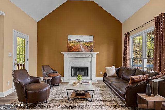 living room with high vaulted ceiling and hardwood / wood-style flooring