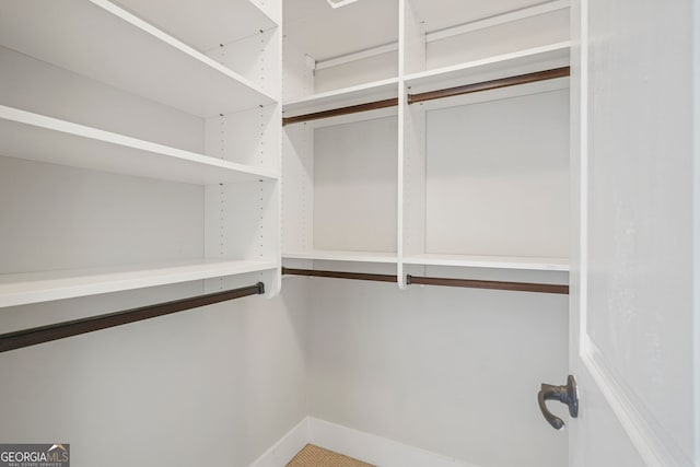 spacious closet with carpet flooring