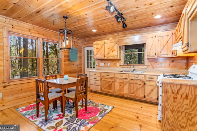 kitchen featuring wood walls, sink, light wood-type flooring, decorative light fixtures, and range