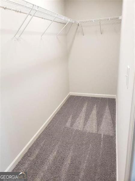 walk in closet featuring carpet flooring