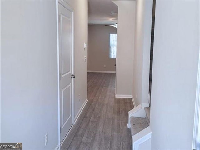 hallway featuring dark hardwood / wood-style flooring