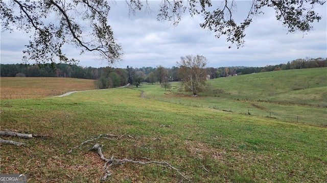 view of yard with a rural view