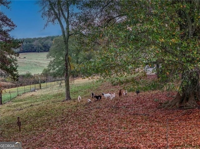 view of yard featuring a rural view