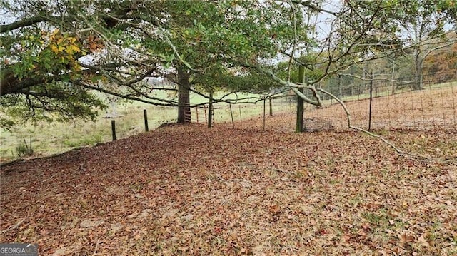 view of yard with a rural view