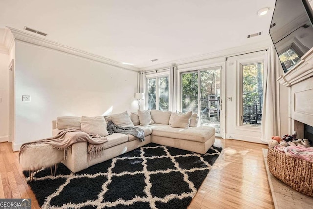 living room featuring wood-type flooring and crown molding