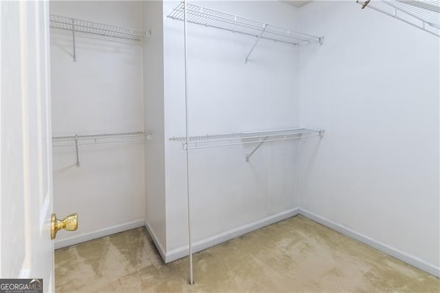 spacious closet featuring light carpet