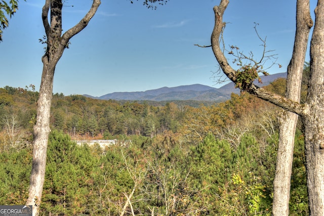 property view of mountains