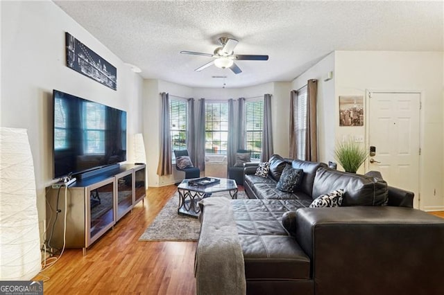 living room with hardwood / wood-style floors, a textured ceiling, and ceiling fan