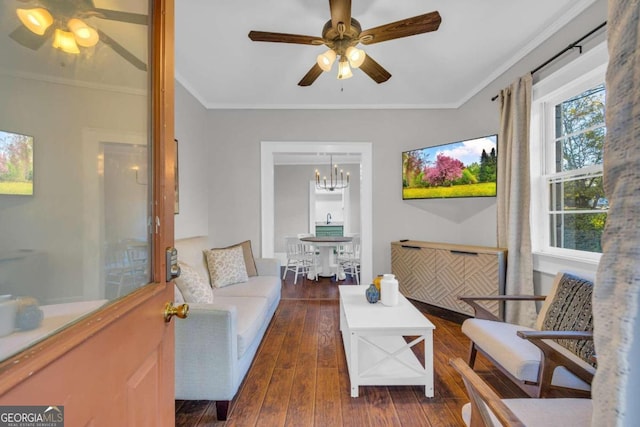 living room with dark hardwood / wood-style floors, crown molding, and ceiling fan with notable chandelier