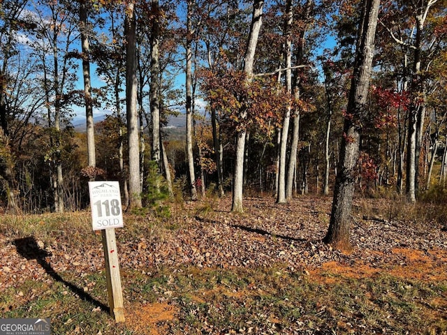 Listing photo 3 for LOT118 Winding Rdg, Blairsville GA 30512