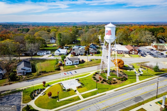 drone / aerial view