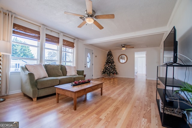 living room featuring ceiling fan, plenty of natural light, a textured ceiling, and light wood-type flooring