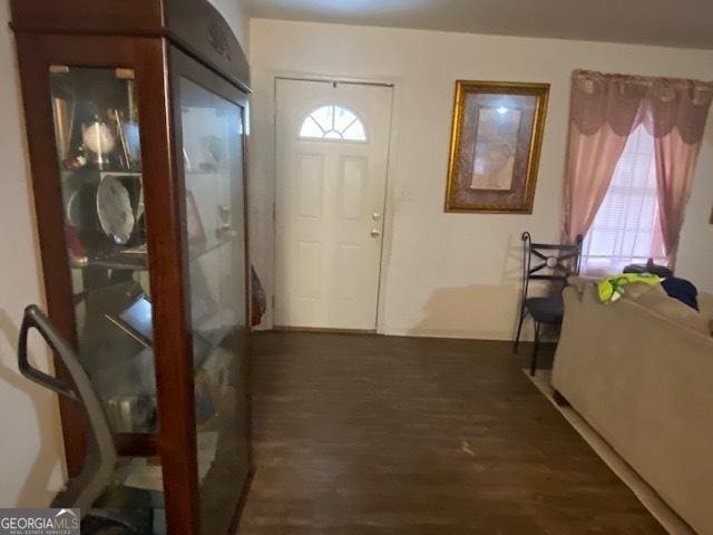 foyer entrance with dark wood-type flooring and a wealth of natural light