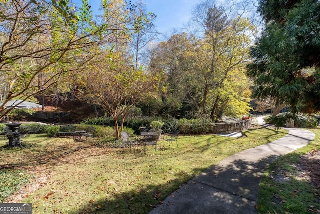 view of property's community with a yard