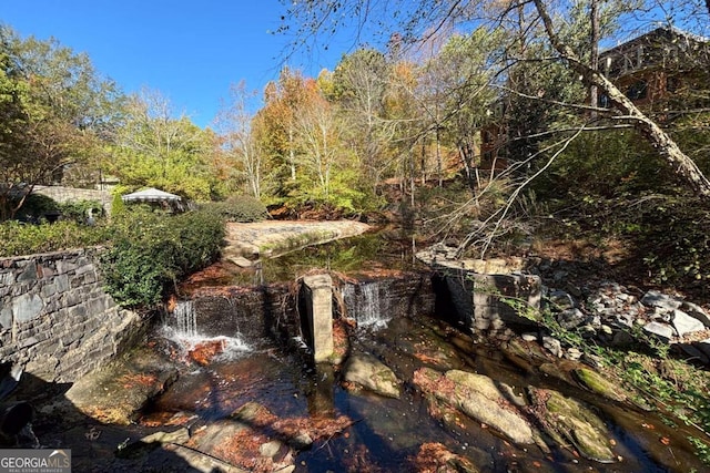 view of local wilderness