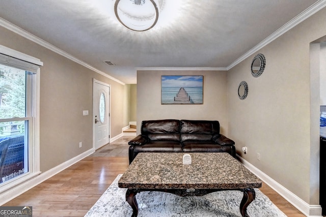 living room with wood-type flooring and crown molding