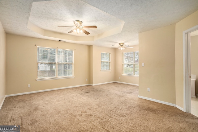 empty room with a raised ceiling, light colored carpet, and a textured ceiling