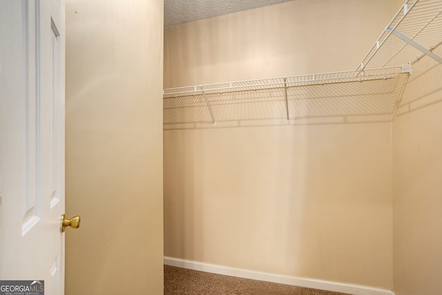 spacious closet with carpet floors