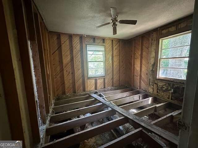 miscellaneous room with ceiling fan and a healthy amount of sunlight