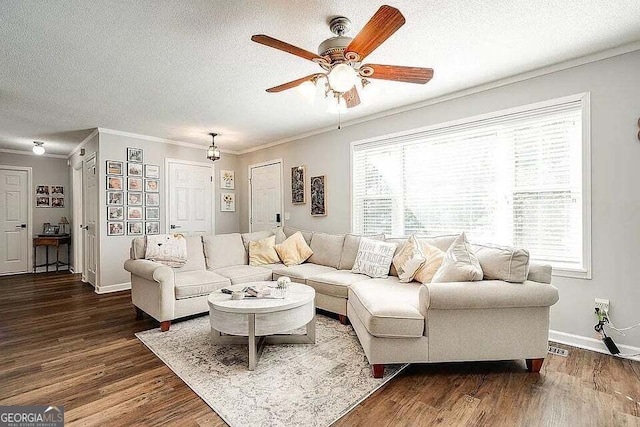 living room featuring dark wood-type flooring, a healthy amount of sunlight, and a textured ceiling