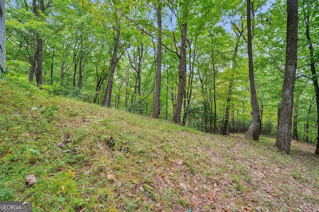 view of local wilderness