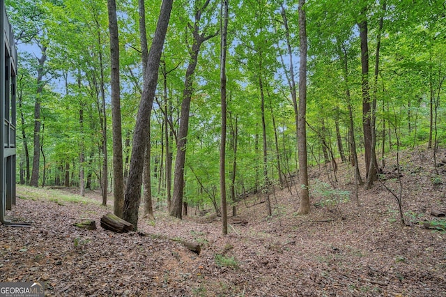 view of local wilderness