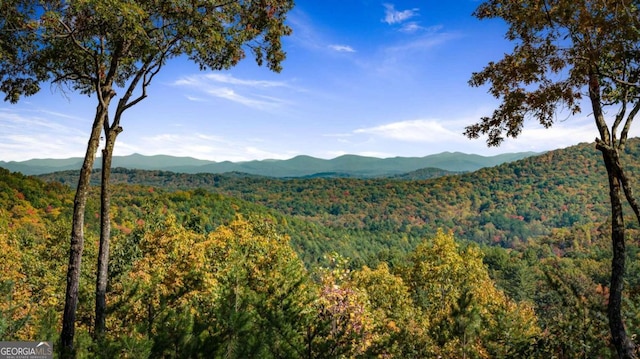 view of mountain feature