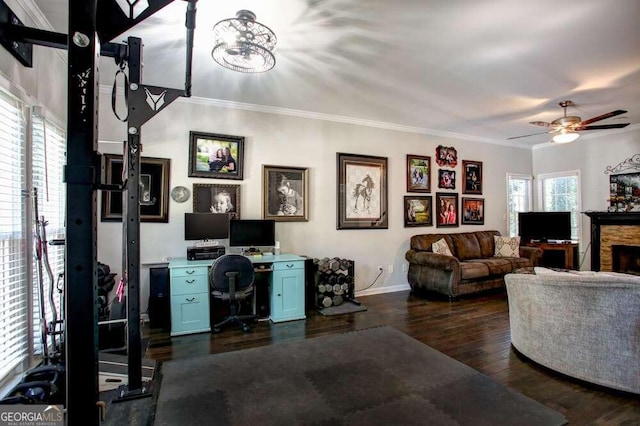 office with a fireplace, crown molding, dark wood-type flooring, and a healthy amount of sunlight