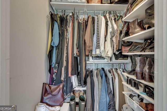 view of spacious closet