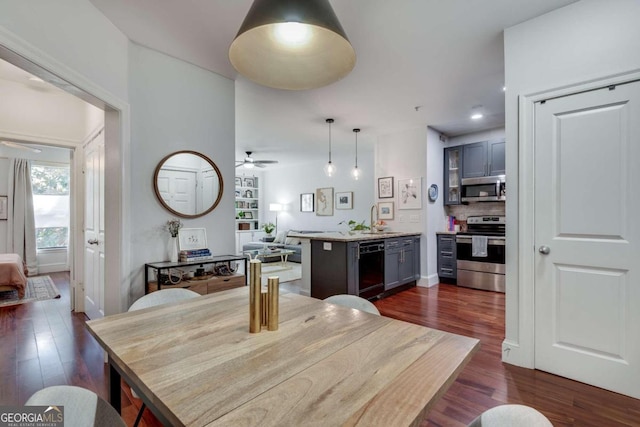 dining space with ceiling fan, sink, and dark wood-type flooring