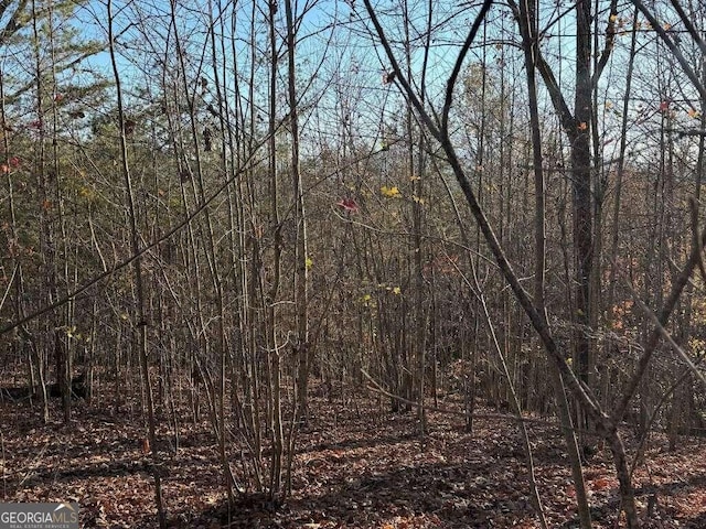 Listing photo 2 for LOT26-A Licklog Rdg, Hayesville NC 28904