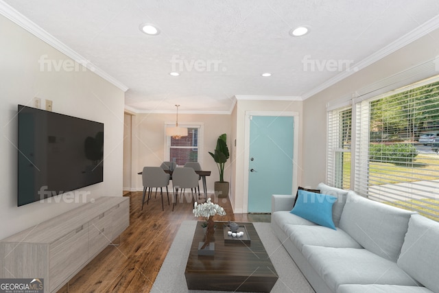 living room featuring dark hardwood / wood-style flooring, a textured ceiling, and ornamental molding