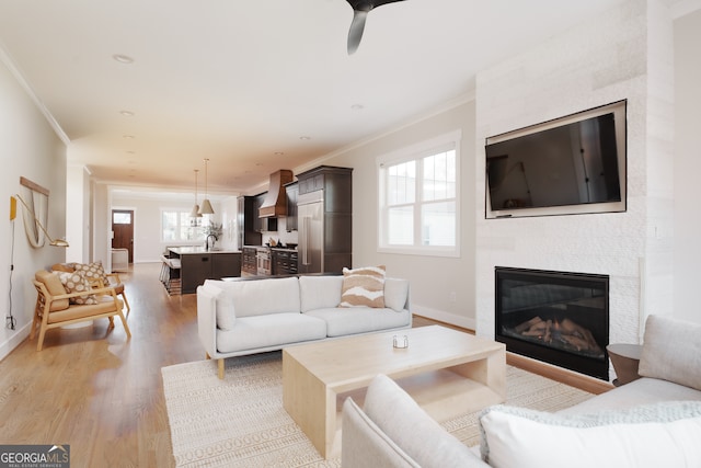 living room featuring light wood-type flooring, crown molding, and a healthy amount of sunlight