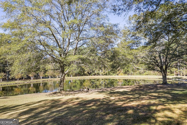 view of yard with a water view