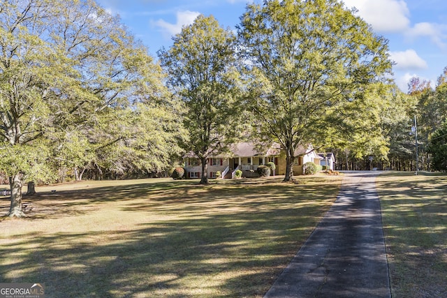 view of property hidden behind natural elements with a front yard