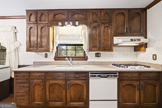 kitchen featuring dark brown cabinetry, white appliances, sink, and tasteful backsplash