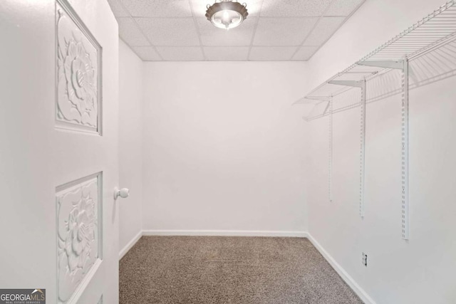 walk in closet featuring carpet flooring and a drop ceiling