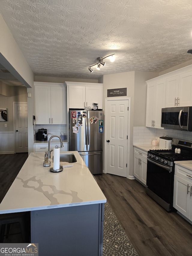 kitchen featuring dark hardwood / wood-style flooring, a kitchen island with sink, and appliances with stainless steel finishes