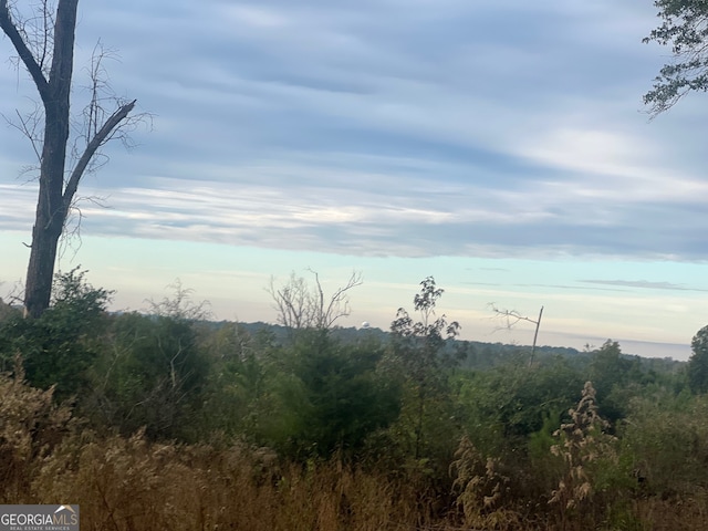 97/- US Highway 82, Georgetown GA, 39854 land for sale