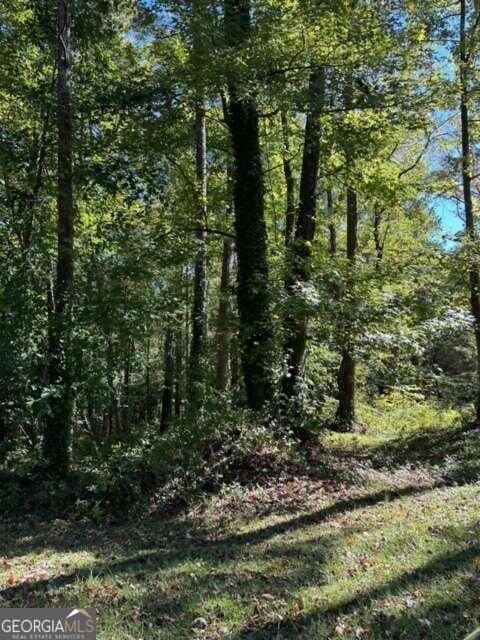 1600 Stoneleigh Hill Rd, Lithonia GA, 30058 land for sale