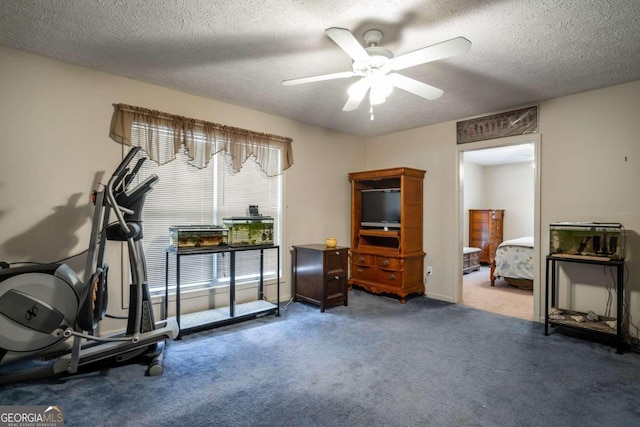 interior space with carpet flooring, ceiling fan, and a textured ceiling