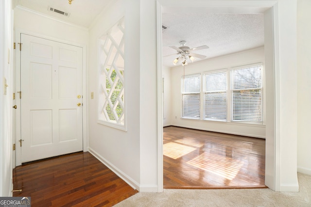 entrance foyer featuring a healthy amount of sunlight, dark hardwood / wood-style flooring, and a textured ceiling