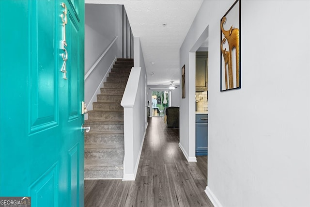 entrance foyer featuring ceiling fan, dark wood-type flooring, and a textured ceiling