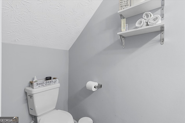 bathroom featuring toilet and lofted ceiling