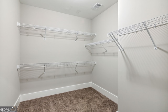 walk in closet featuring carpet