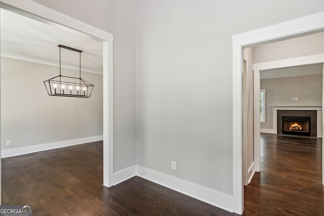 hall featuring ornamental molding and dark wood-type flooring