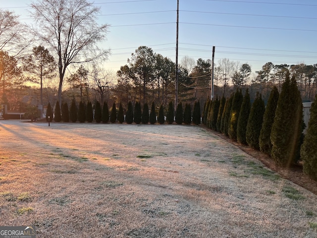 view of yard at dusk