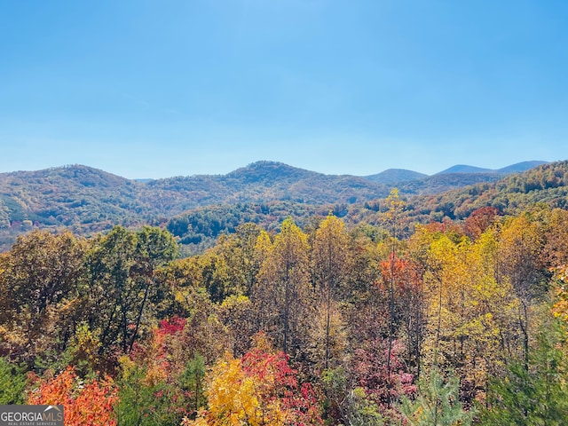 view of mountain feature