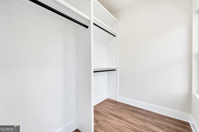 spacious closet with hardwood / wood-style floors