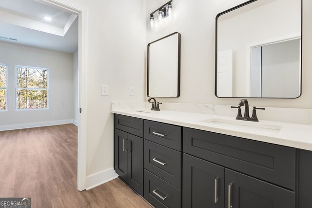 bathroom with vanity and wood-type flooring